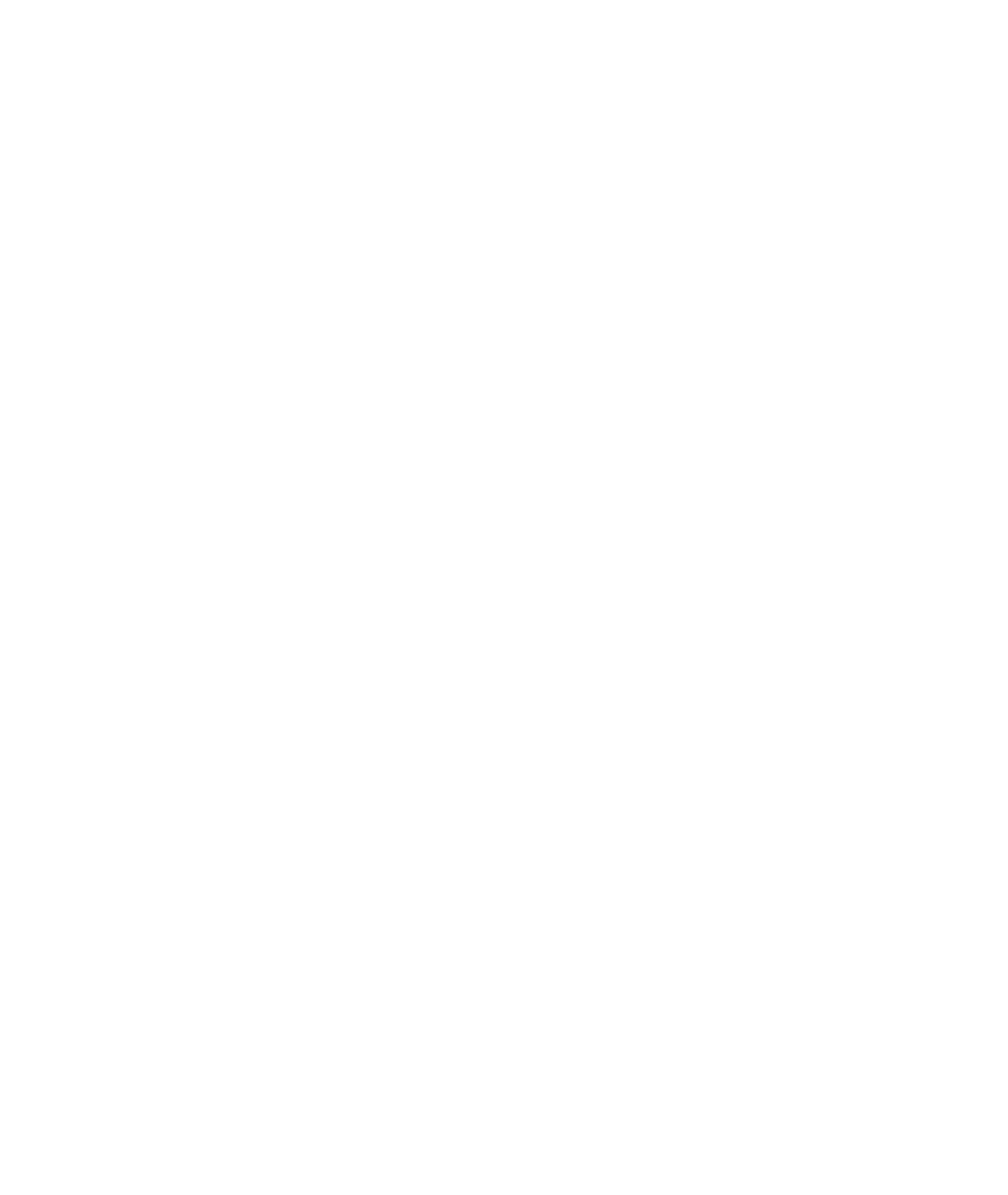 Logo Wamaps/Westafricamaps blanc