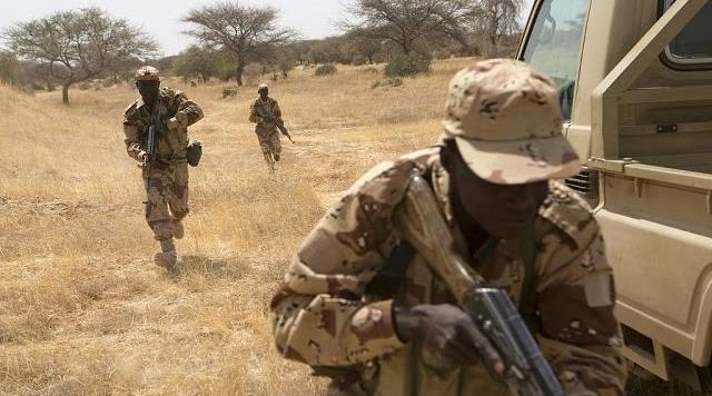 Terrorisme au Niger : les actions du Niger contre les terroristes.